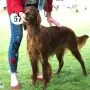 TOP "Una" an der CAC Forst 2018