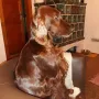 TOP "Una" unsere Prinzessin