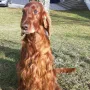 TOP "Una" unsere Prinzessin