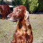 TOP "Una" 6 Jahre