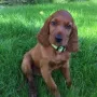 Und sie wird dort Franz bei der Jagd unterstützen