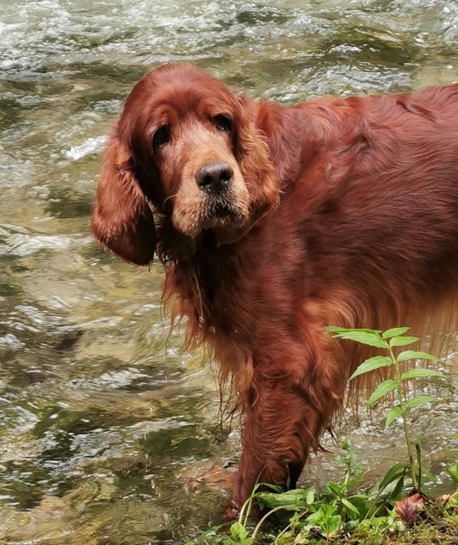 Zarah 14 Jahre alt 