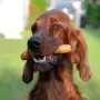 Zarah mit Würstchen!