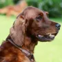 Zarah mit 7 Jahren, noch ein flottes Mädchen!