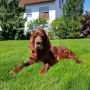Zarah mit bald 11 Jahren