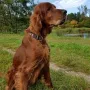 Zarah gute 11 Jahre alt!!
