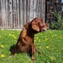Zarah in Kürze 12 Jahre alt
