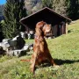 Zarah mit gut 13 Jahren fleißig in den Bergen unterwegs