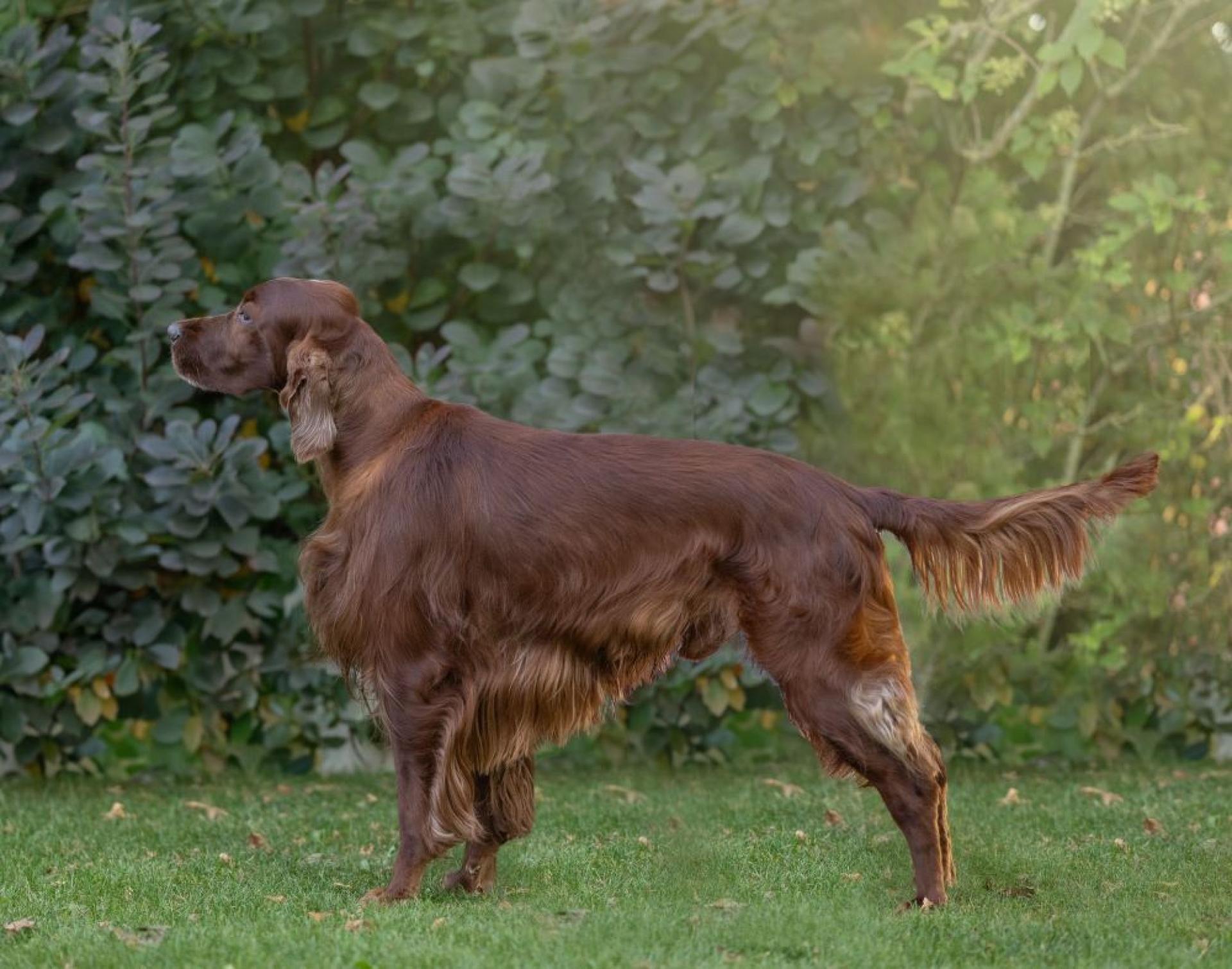 Vinz Louis 7 Jahre