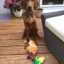Vinz Louis, seine Apportel werden bald andere werden....