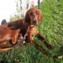Vinz Louis, du hübscher Bub