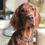 Vinz Louis der hübsche Bub mit 8 Monaten