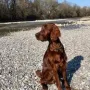 Toller Bursche der Vinz