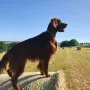 Vinz Louis im Urlaub