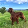 Vinz Louis in seiner Zweitheimat in A