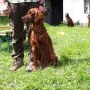 Valentin Rusty beim Gebirgsjäger Frühjahrstraining 2018