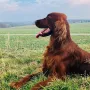 Valentin Rusty nach Training zur Jugendsuche