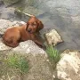 VIP Jenna ....die Wasserratte