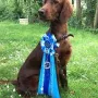 VIP Jenna Landesjugendsieger Baden-Württemberg 2018