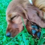Vida Lora wird Arthur in Aulendorf unterstützen