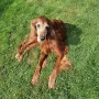 Zirka 16,5 Jahre
