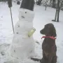 Vanny Rose und der Weihnachtsmann