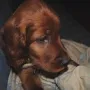 Wally im neuen Zuhause bei Familie Gabler