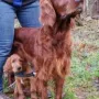 Whisky Kelani und ihre Freundin Quianna