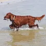 Im Urlaub