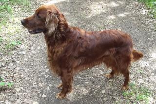 Zora 12 Jahre alt