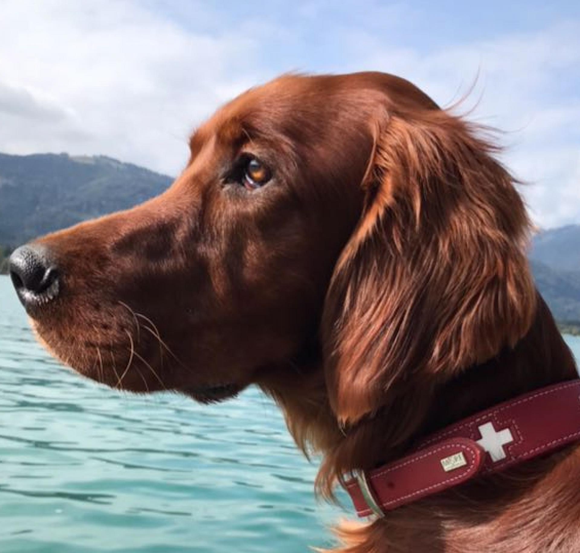 Winston ein toller Bub mit 1 Jahr