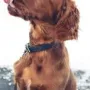 Winston gut 4 Monate alt
