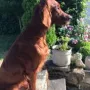 Winston nun 8 Monate alt