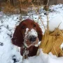 Winner mit "Schneepuderzucker"
