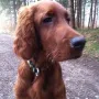 Will mit 5 Monaten