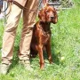 Wilson beim Gebirgsjäger Frühjahrstraining 2018