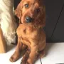 Xavi wohnt bei Astrid und Michael in Holzkirchen