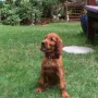 Xenya hält Gisela und Familie ganz schön auf Trab