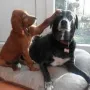 Xenya mit ihrer Freundin