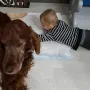 Amigo, ein ganz toller Kinderbetreuer