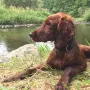 Ilvi gleich 5 Monate alt