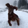 Ylvi hat riesigen Spaß im Schnee
