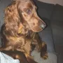 Yllian ist jetzt 10 Monate alt