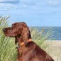 Zea das hübsche Mädchen ist jetzt 2,5 Jahre