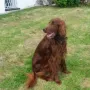 Addy wohnt in Altdorf bei Jutta und Heinz Roos