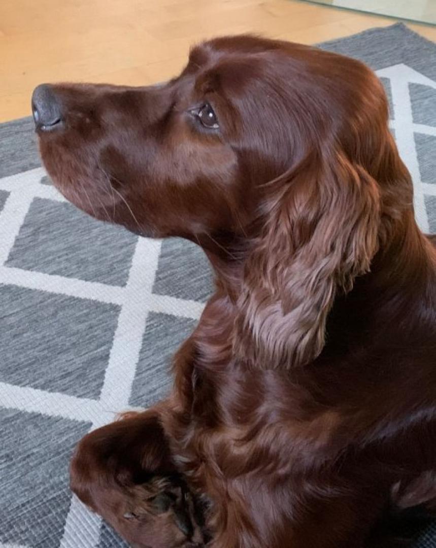 ZoBrey 3 Jahre