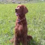 Und nochmal auf der Alm.