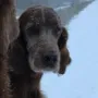 Akira mit 11 Jahren, gut schaust aus Mädel