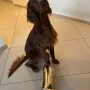 Aria feiert 1. Geburtstag