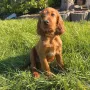 Abigail Freya ist zu Volker nach Duisburg gezogen